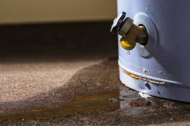 Best Carpet water damage restoration  in Rossmoor, CA