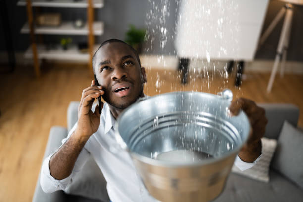 Best Water damage restoration cost  in Rossmoor, CA
