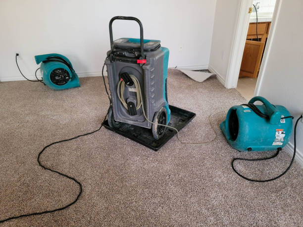 Best Water damage restoration near me  in Rossmoor, CA