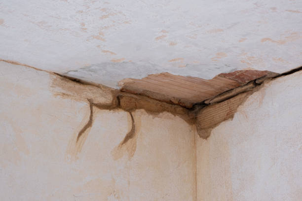 Best Water damage restoration services  in Rossmoor, CA
