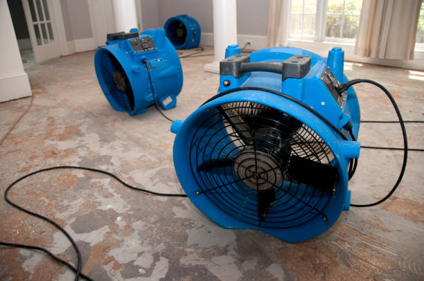 Best Water damage cleanup near me  in Rossmoor, CA