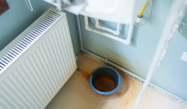 Best Ceiling water damage repair  in Rossmoor, CA