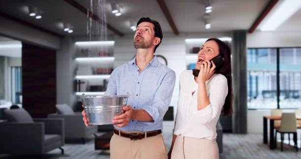 Best Local water damage restoration  in Rossmoor, CA